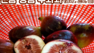 12과내외 무화과 유기농 청무화과 아이스크림: 후회없는 선택? 솔직 후기!