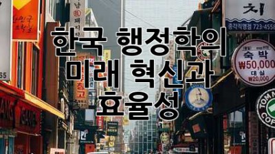 한국 행정학의 미래: 혁신과 효율성